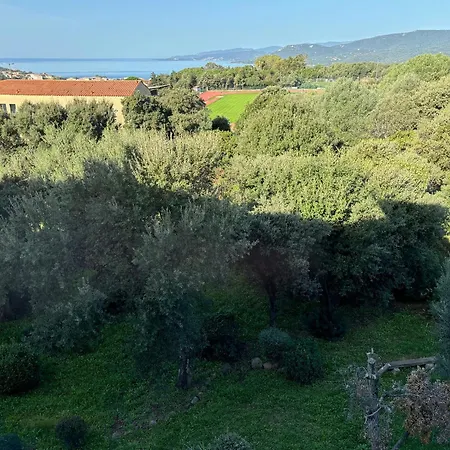Vue Epoustouflante * Propriano (Corsica)