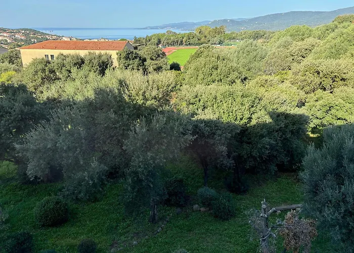 Vue époustouflante * Propriano (Corsica)
